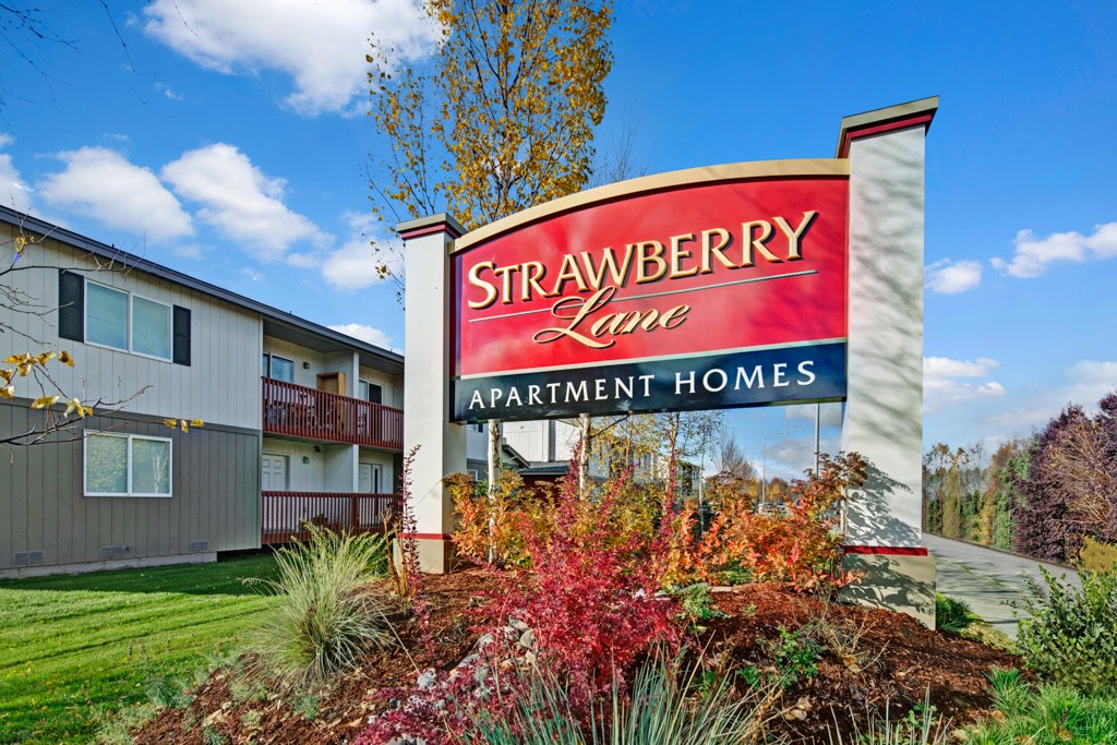 Strawberry Lane Image 16