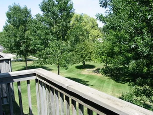Peach Tree Image 10