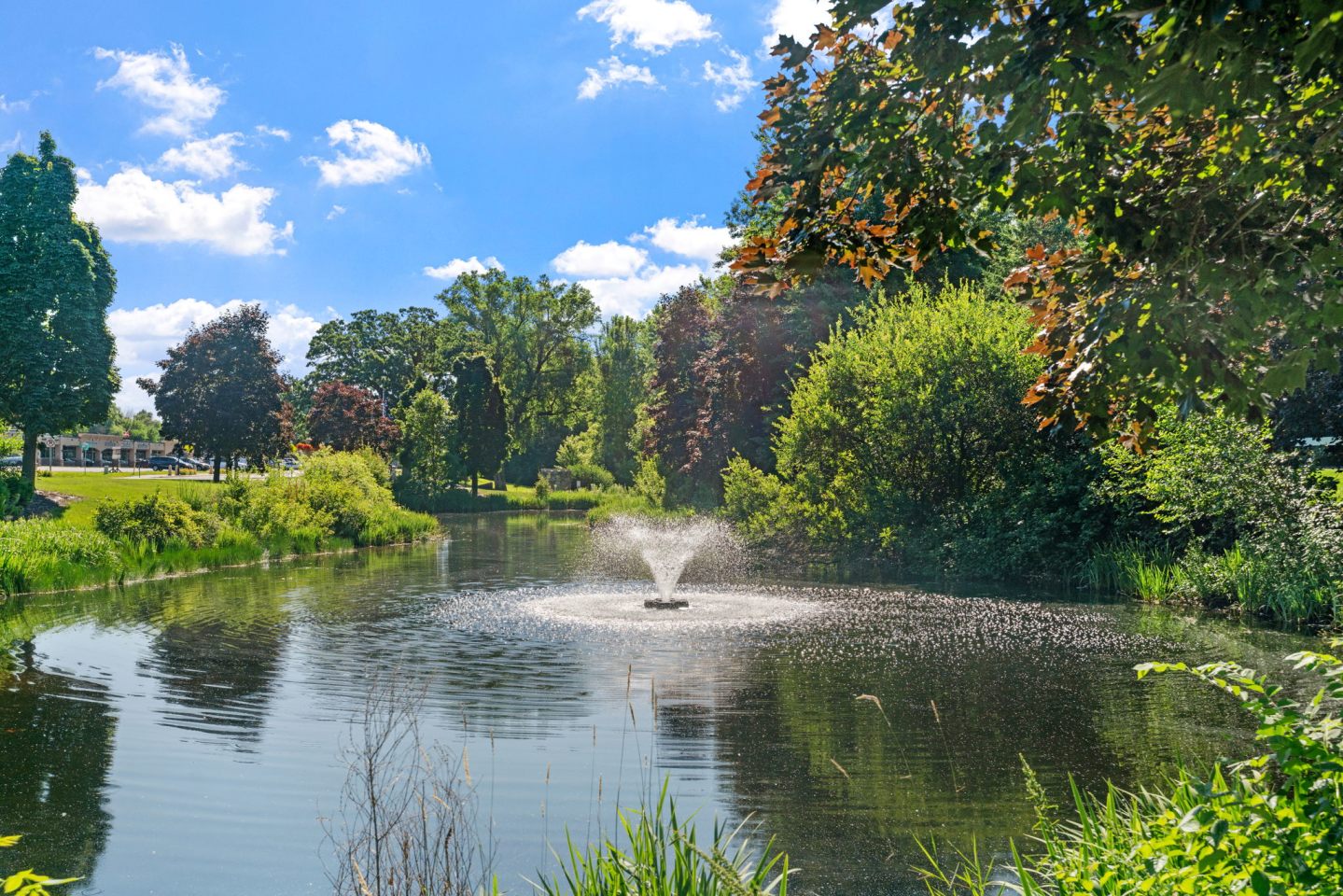 Cedars Lakeside Image 31