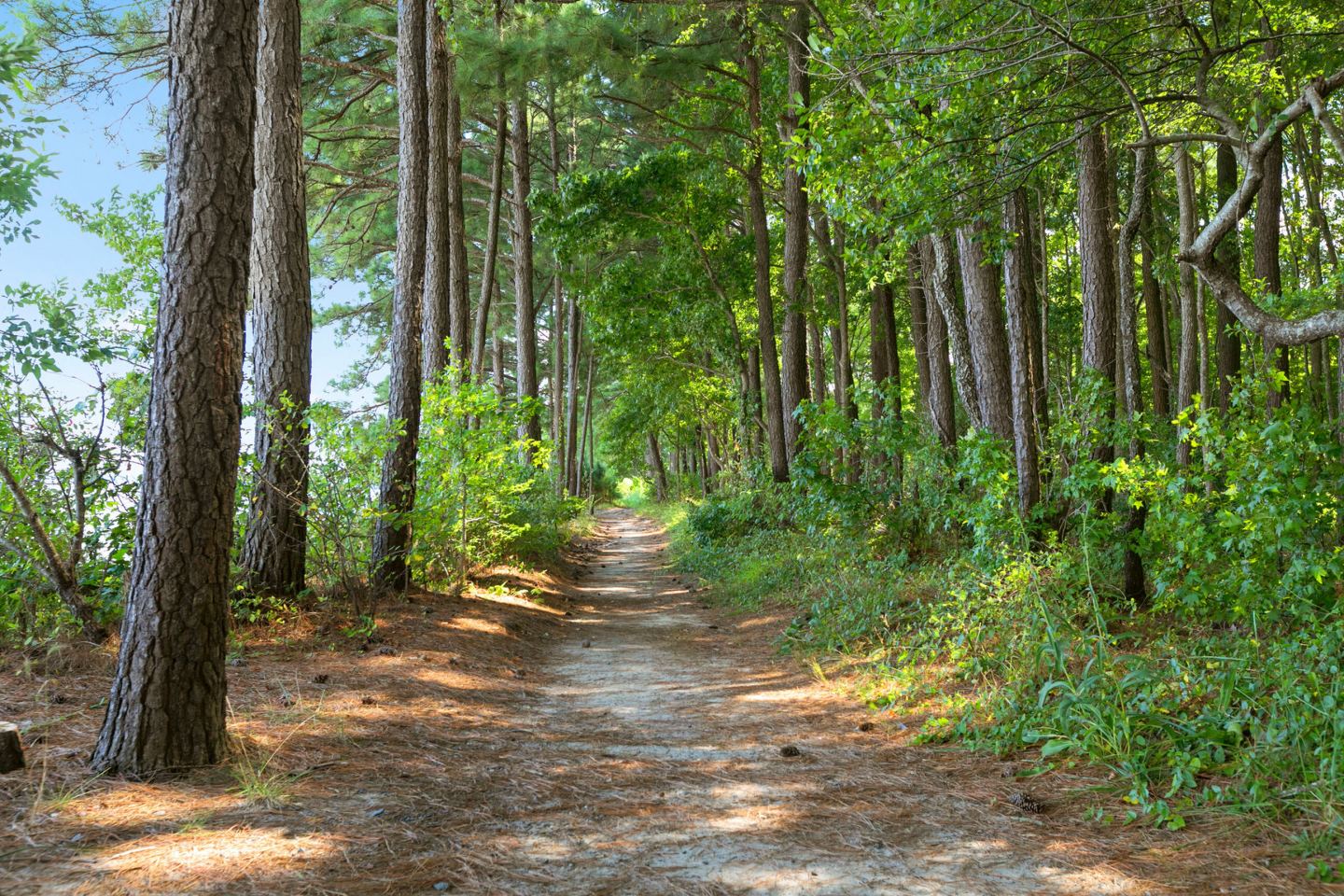 Spyglass at Cedar Cove Image 23