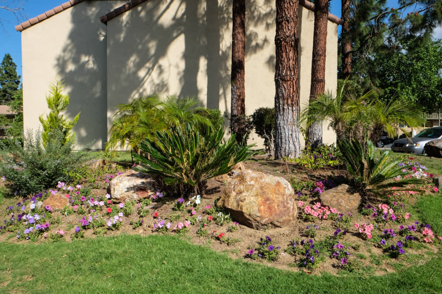 The Hills at Rancho Penasquitos Image 11