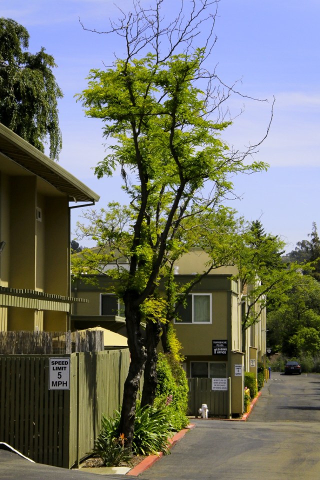 Town House Plaza Image 12