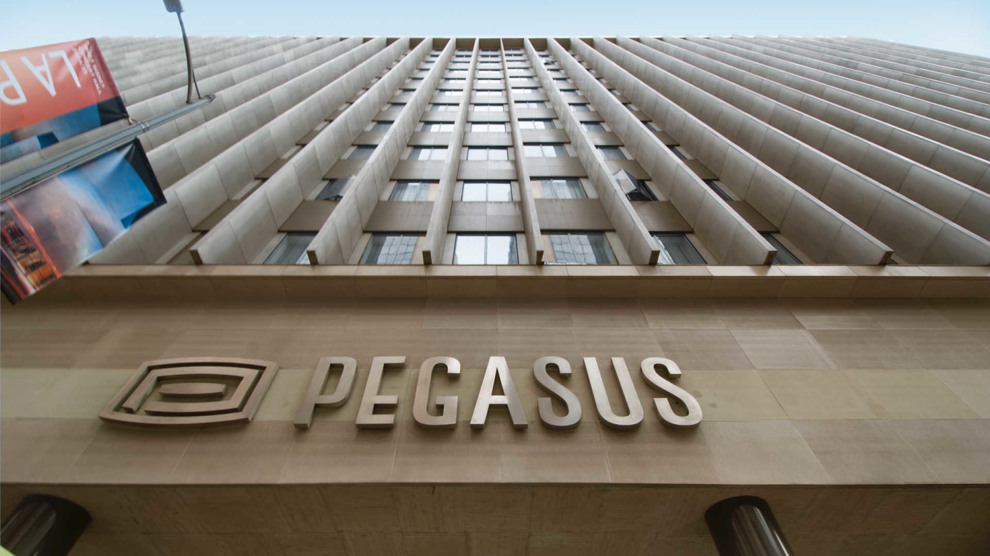 Pegasus Image 12