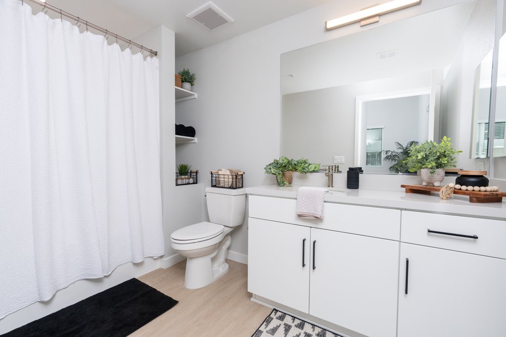 Downtown Ontario Luxury Apartments Image 7
