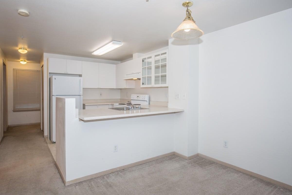 Clearwater and Star Apartments Image 87