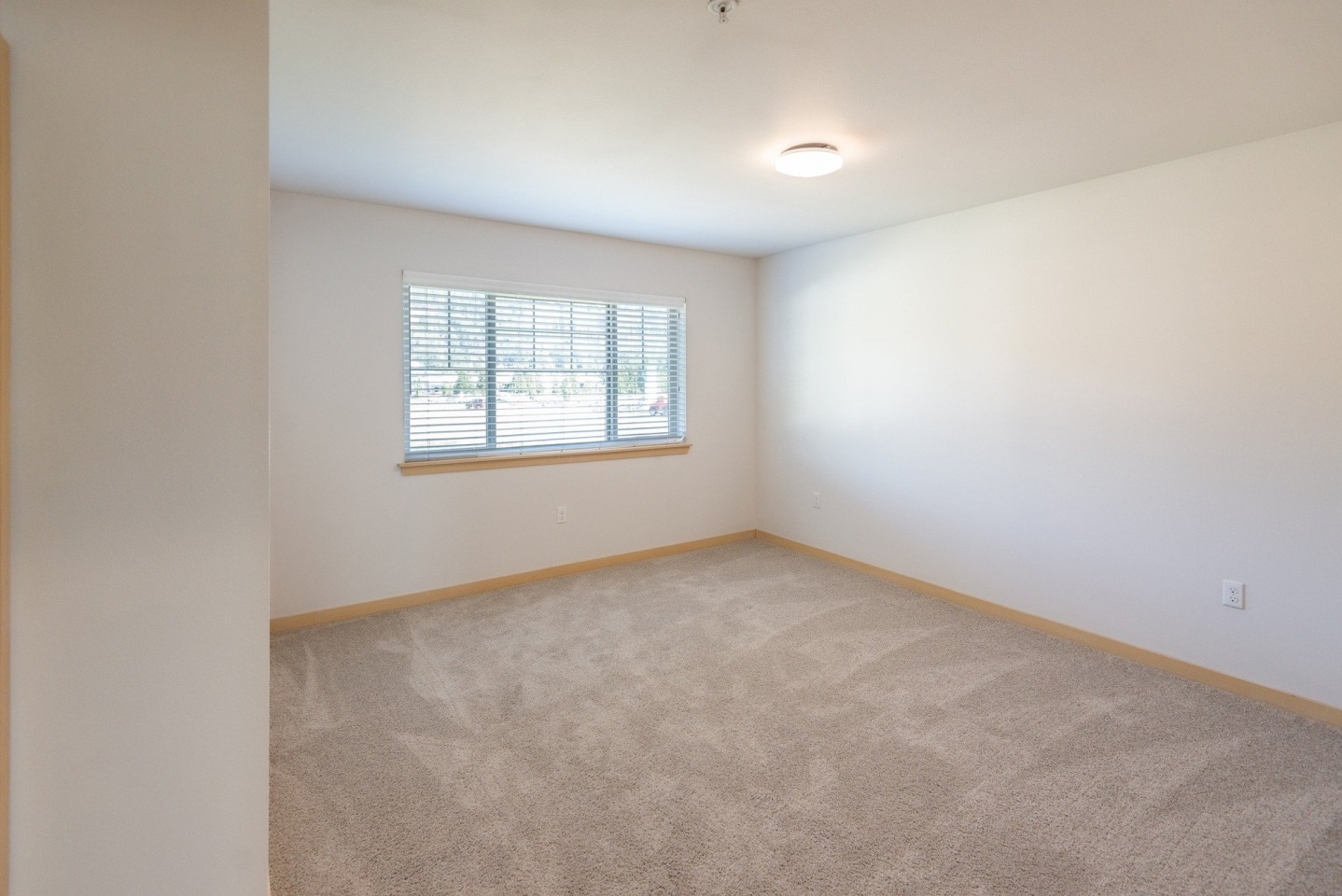 Aster Townhomes Image 18