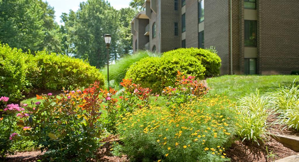 PeachTree of McLean Image 8