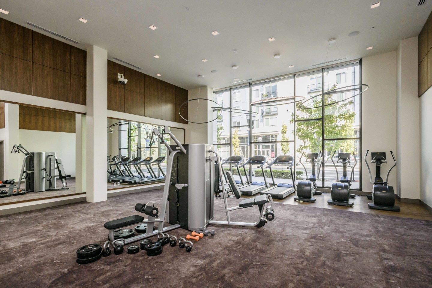 The Flats Cityline Image 13