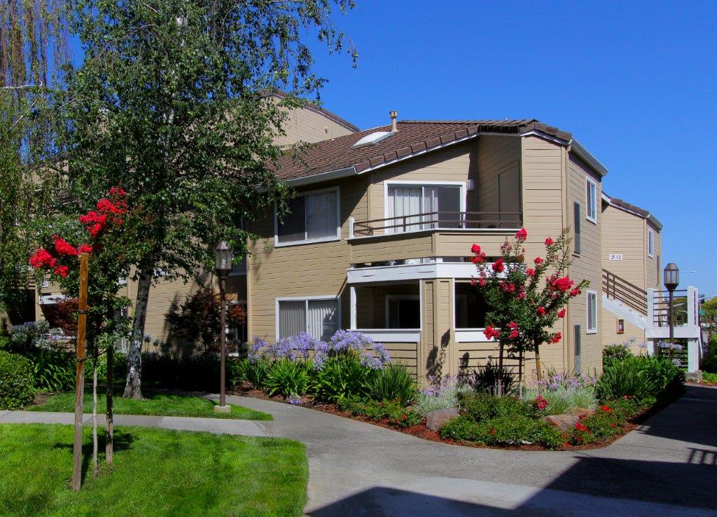 Arcadian Apartments Image 4