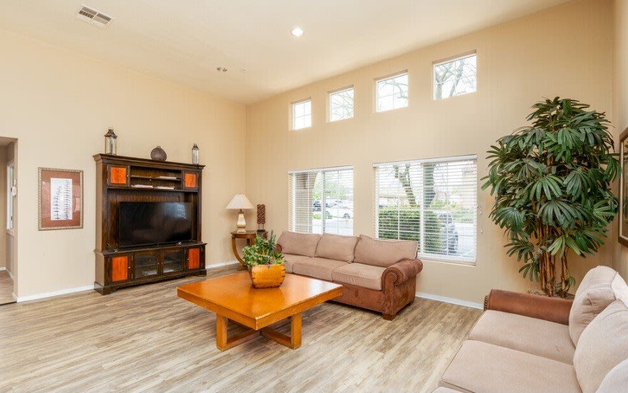 Twin Palm Apartments Image 8
