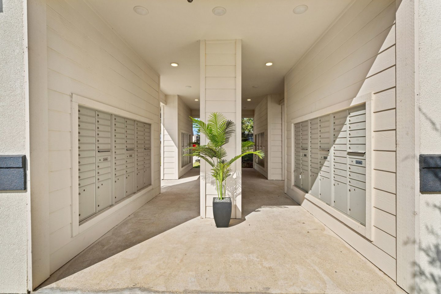 Water Oak Image 22