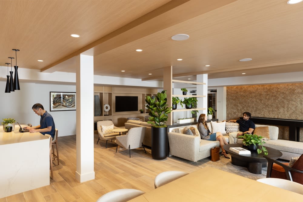 Avelle Image 26
