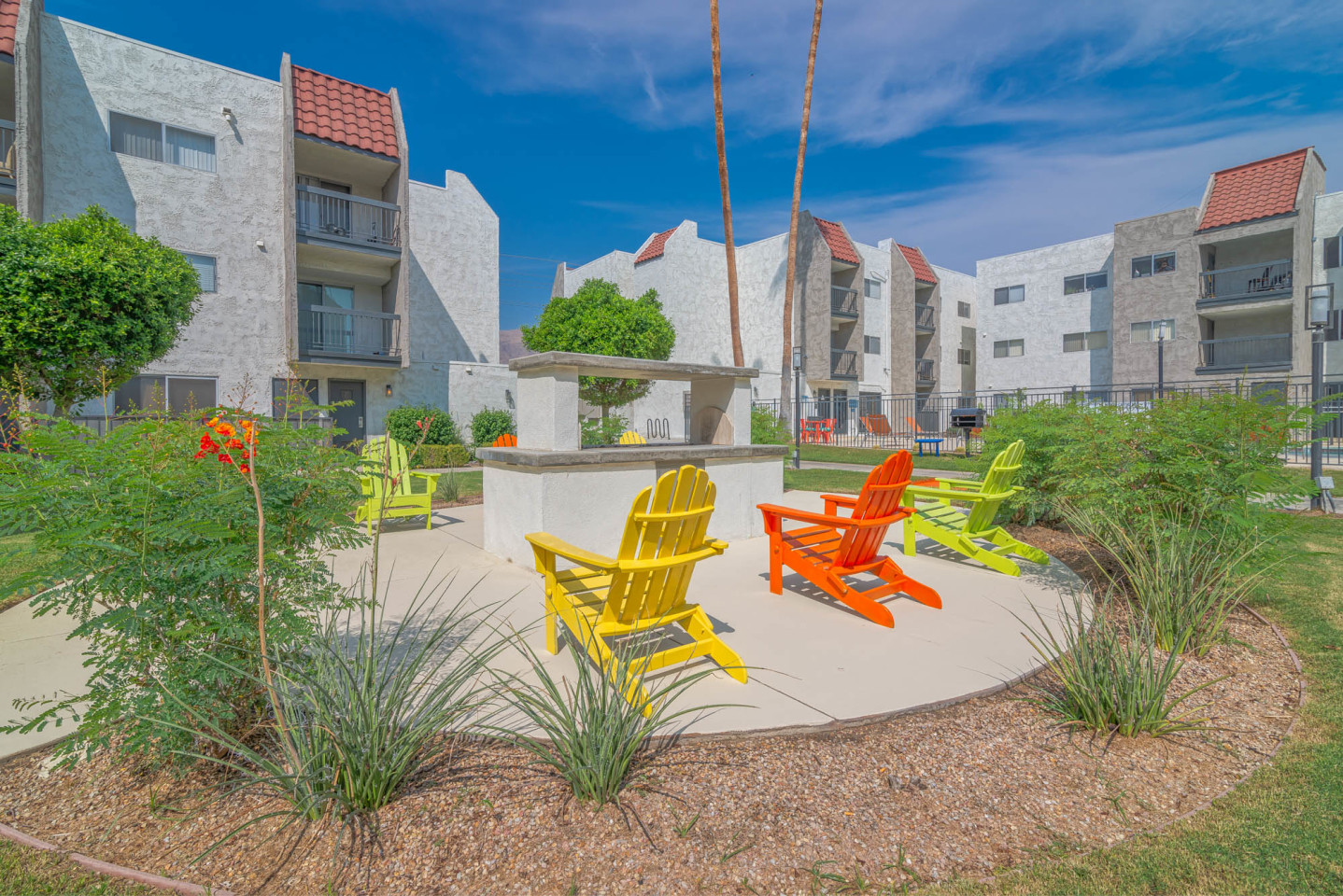 THE MODERN CACTUS Image 18
