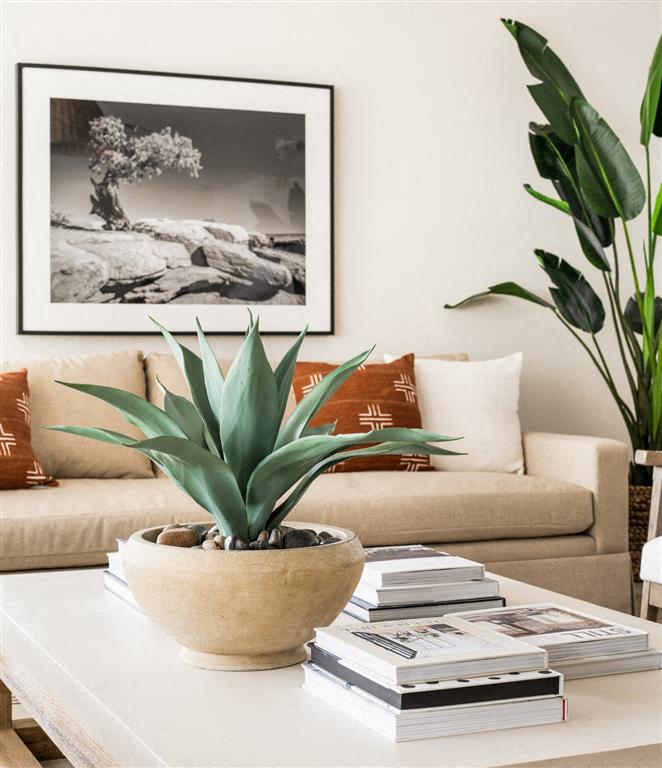 Terra Vida Apartments Image 36