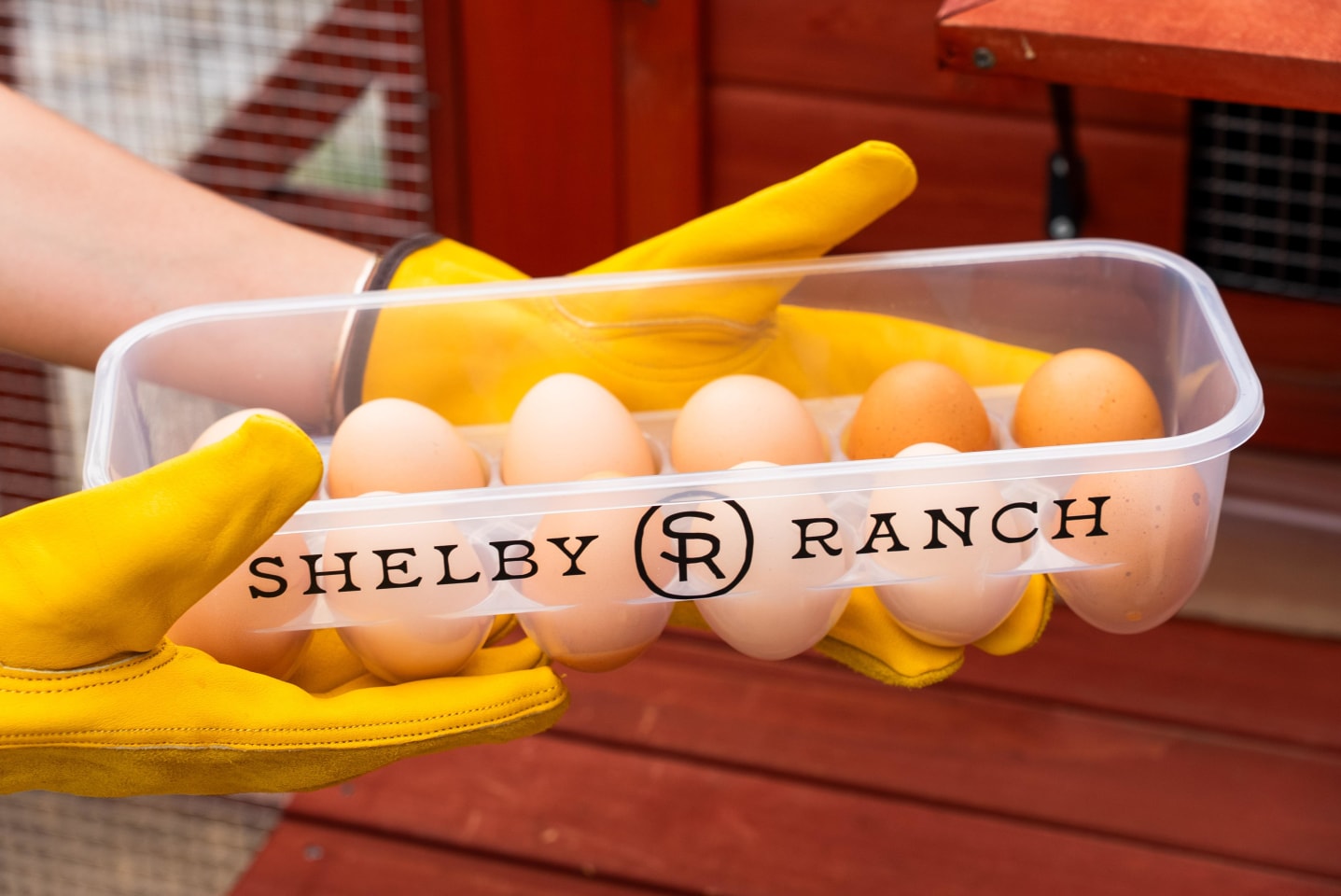 Shelby Ranch Image 13
