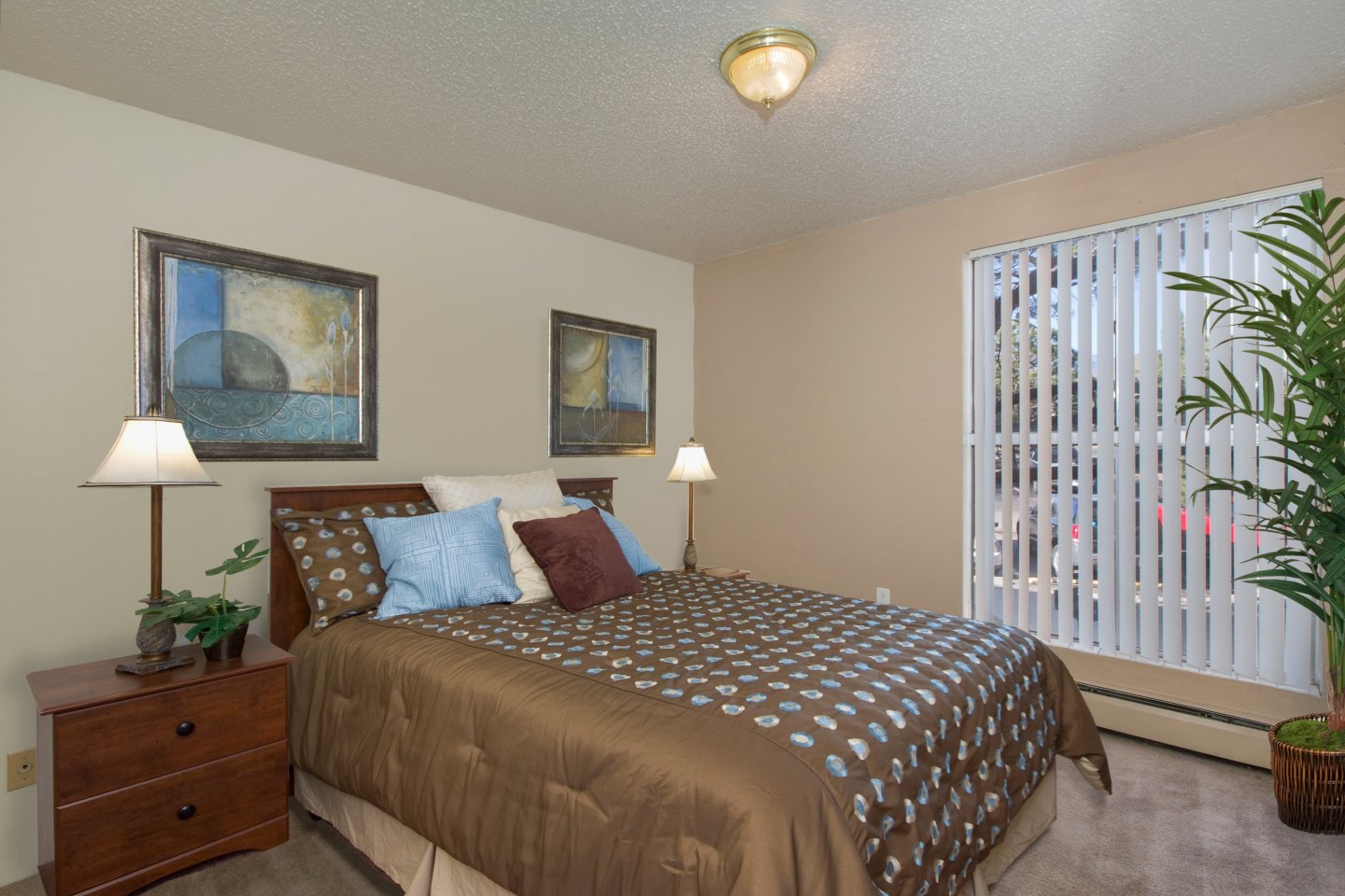 Chestnut Springs Apartments Image 33