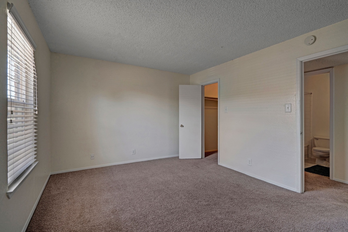 The Bradford Apartment Homes Image 7