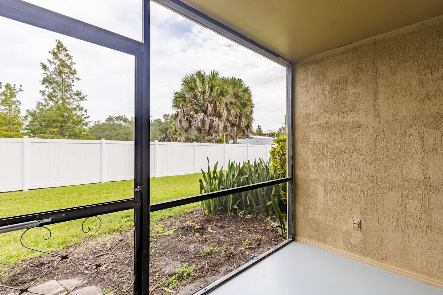 Silver Palms Image 11