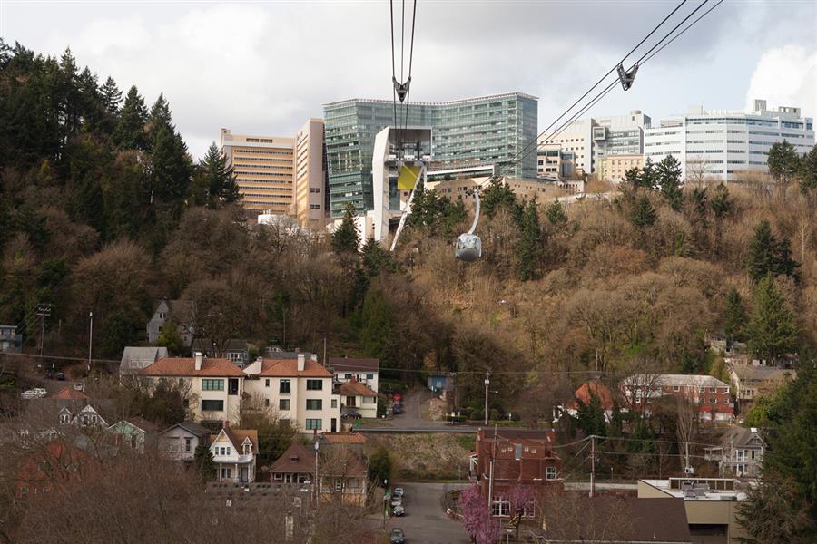 TreeHouse Image 21