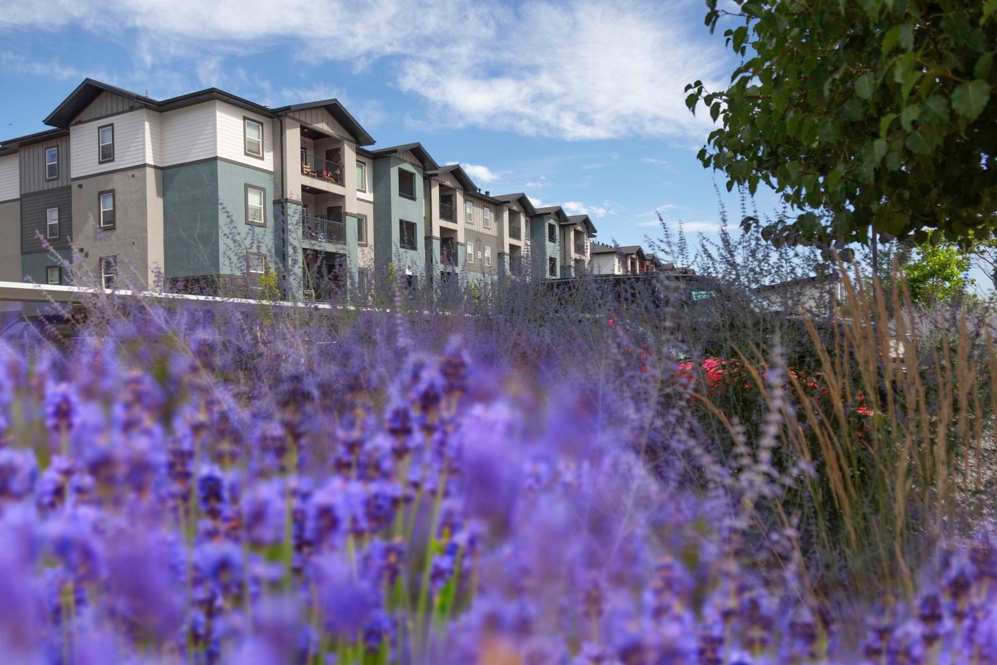 Oquirrh Hills Image 21