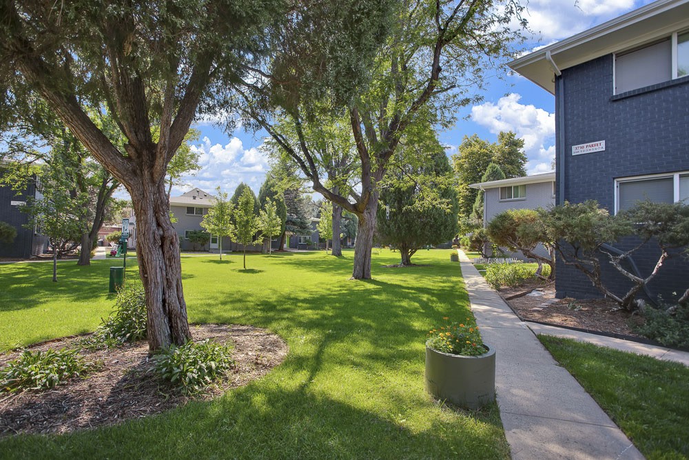 Trace Townhomes Image 3
