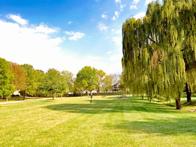 Belmont Park Image 11