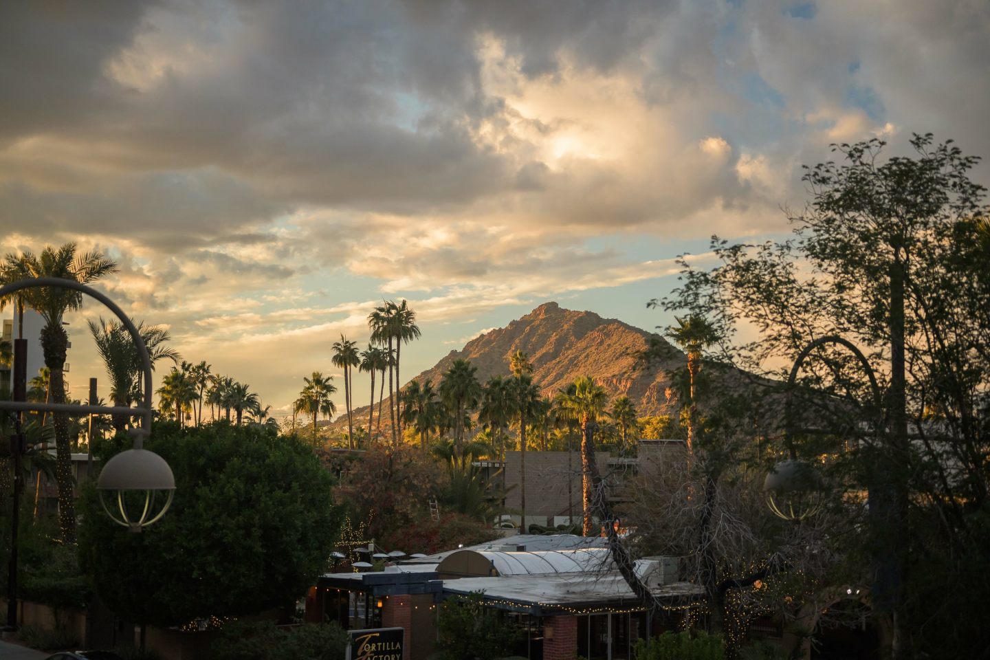 Scottsdale on Main Image 36