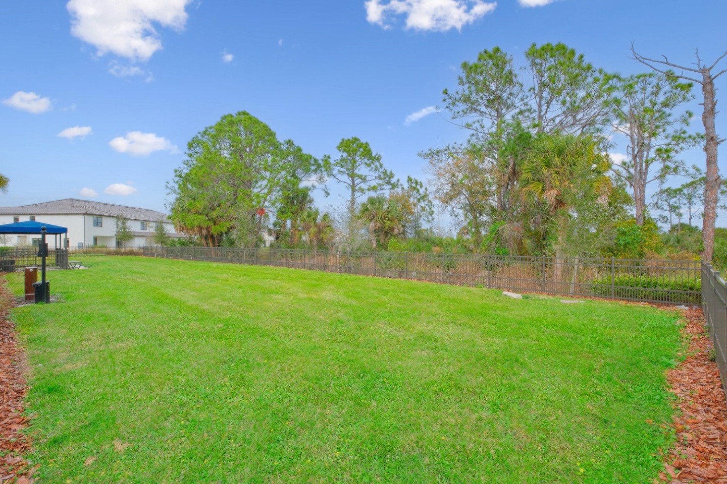 Fiore Townhomes - Built to Rent Housing Image 27