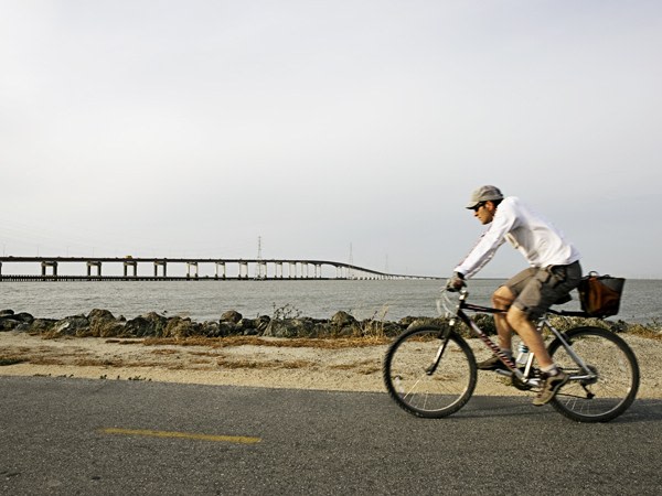 Beach Park Image 12
