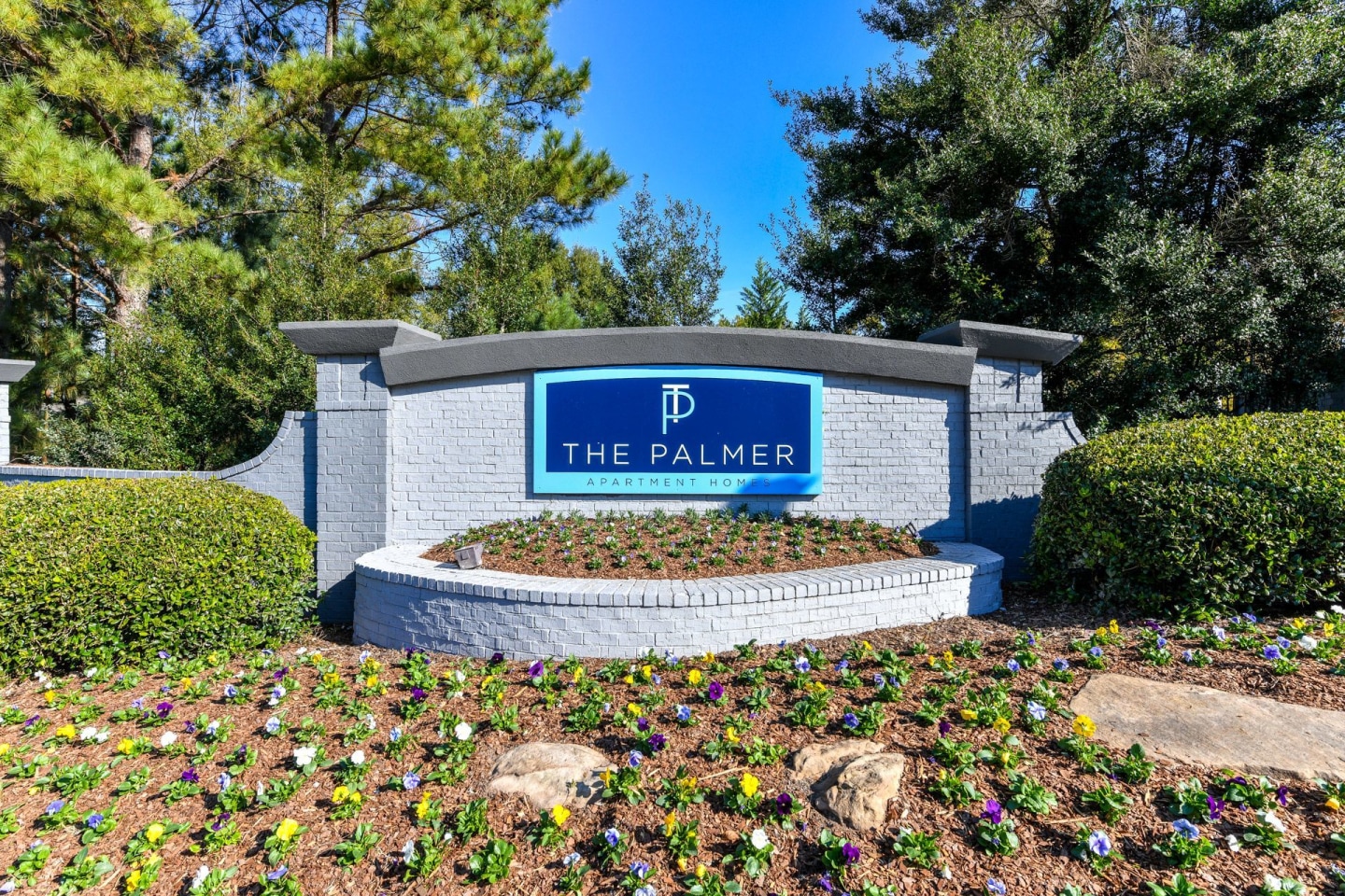 The Palmer Image 8