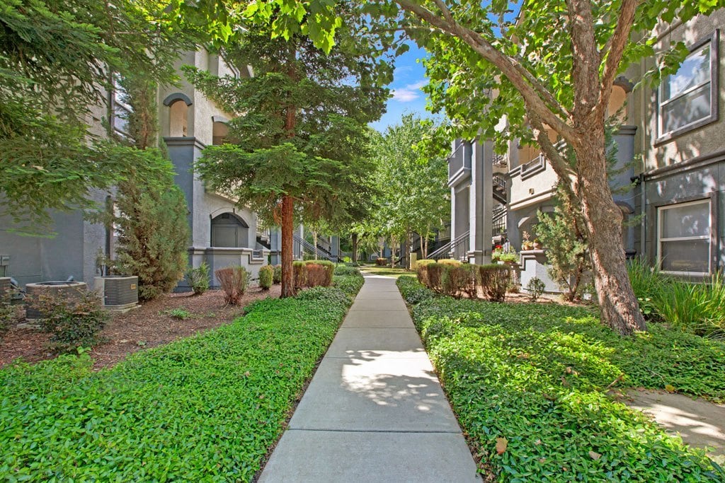 Broadleaf Apartments Image 82