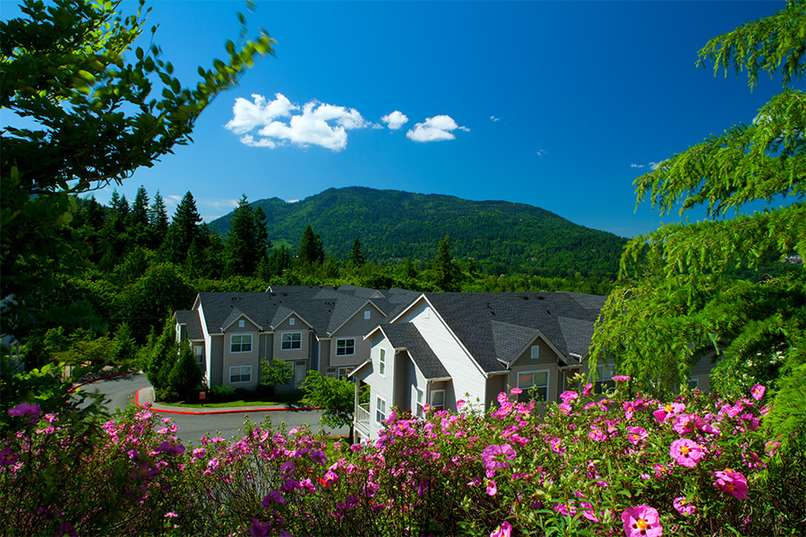The Timbers at Issaquah Ridge Apartments Image 16
