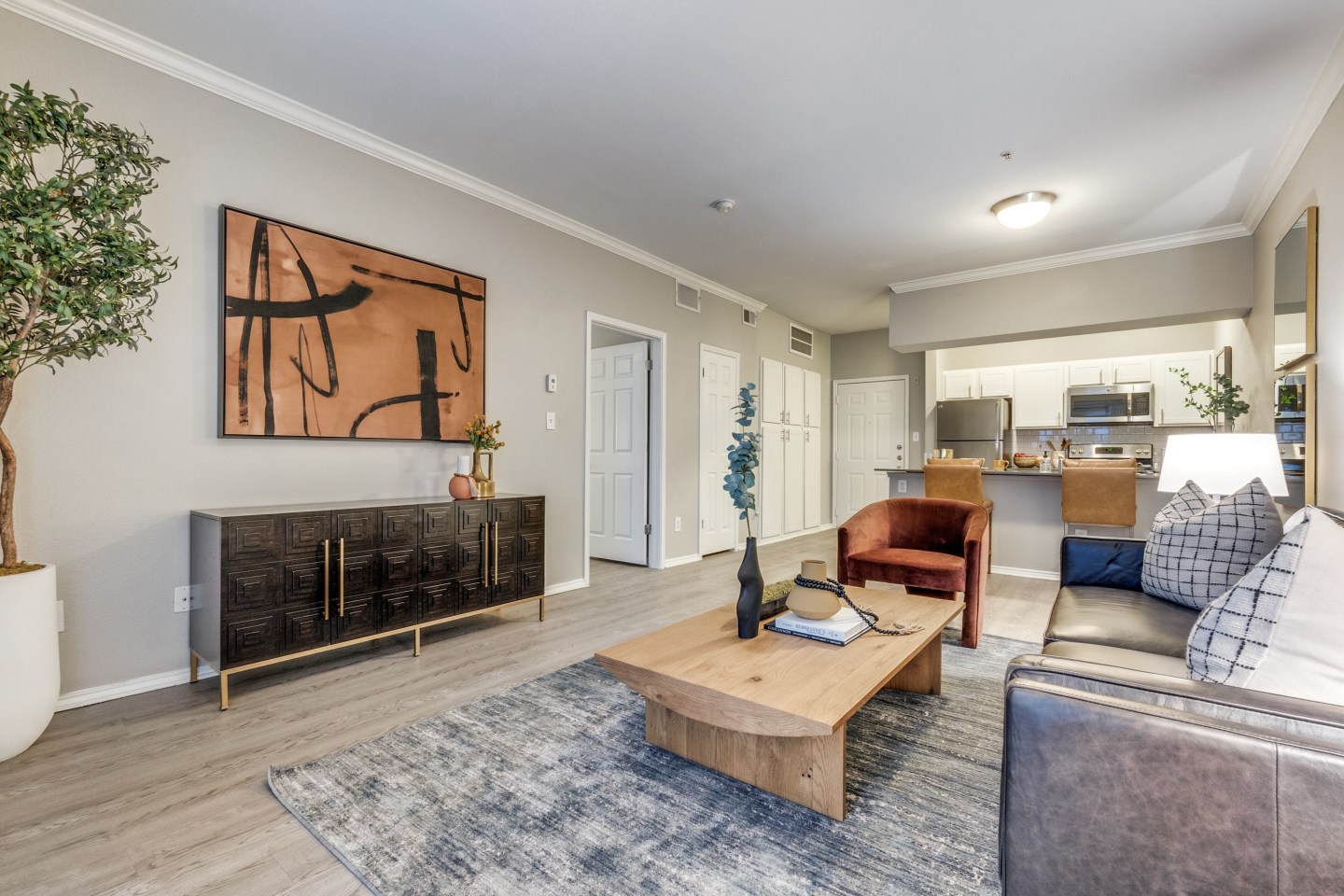 Tides at Midtown Apartments Image 31