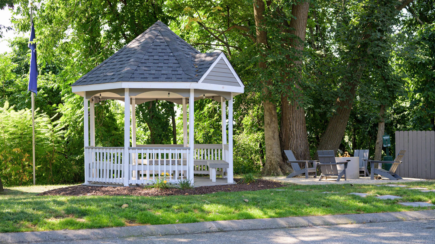 The Willows Image 19