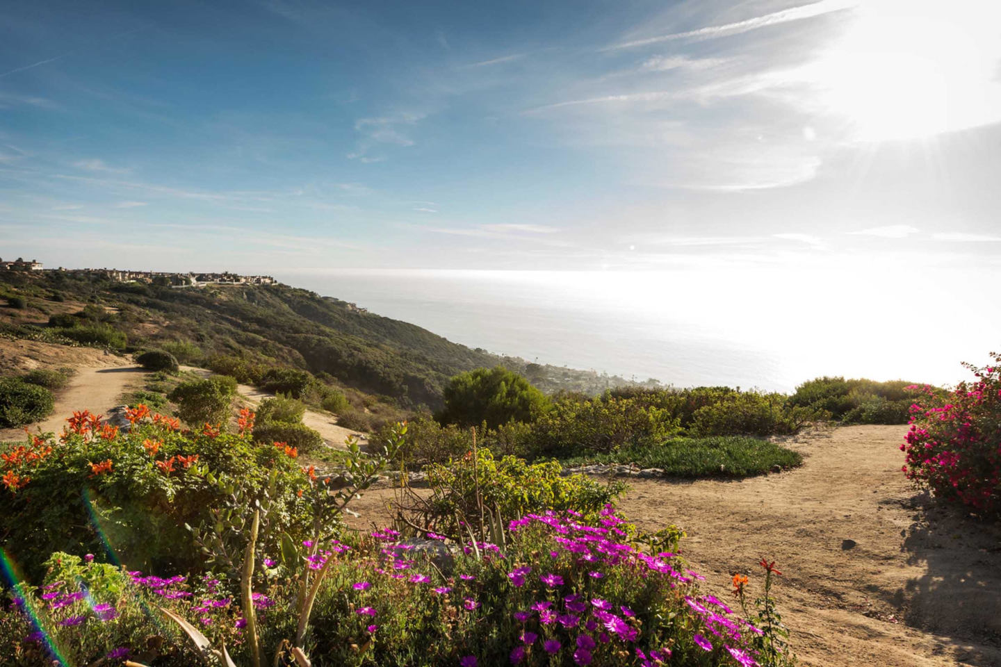 Elan Overlook Laguna Apartments Image 9