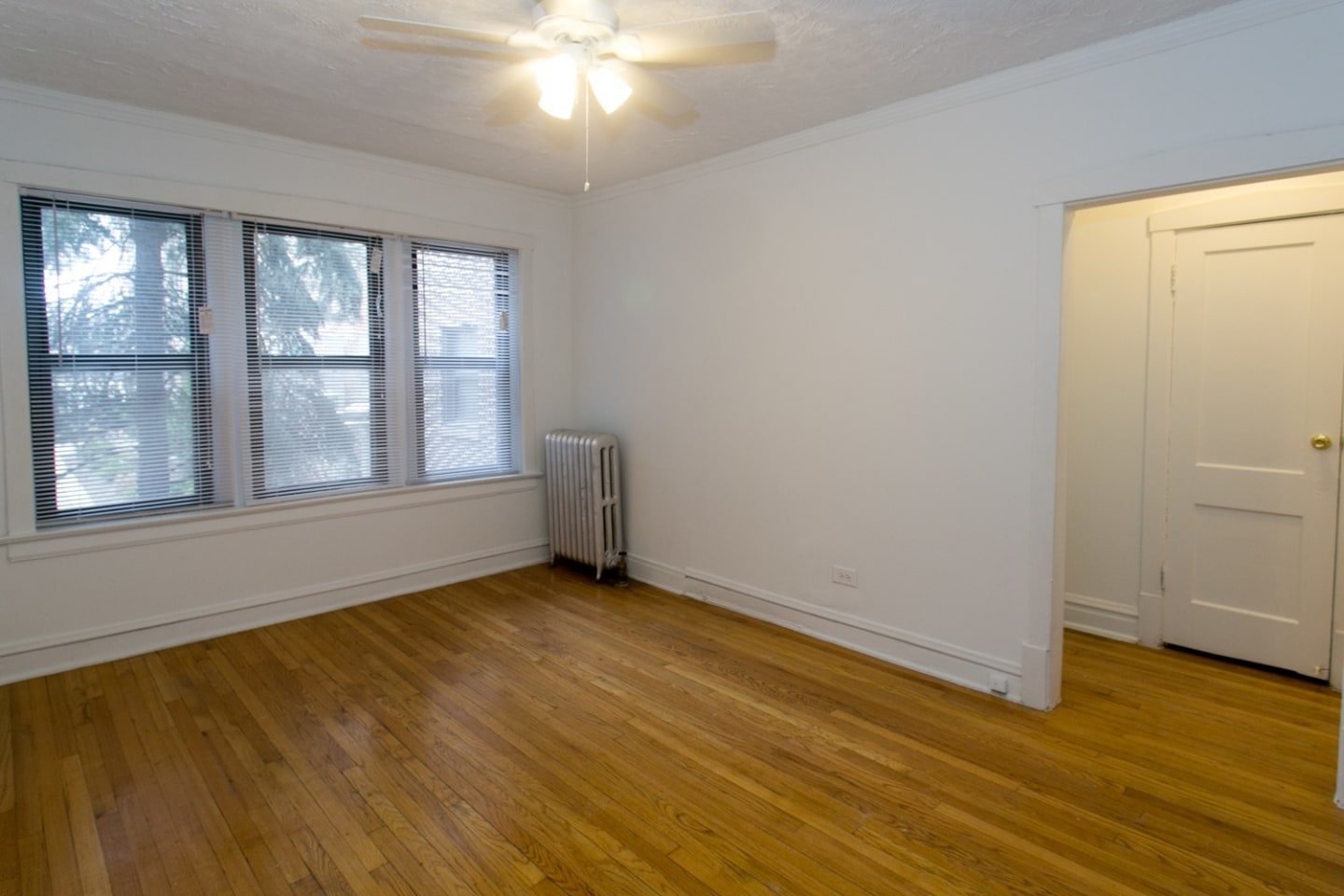 Ellis Court Image 11