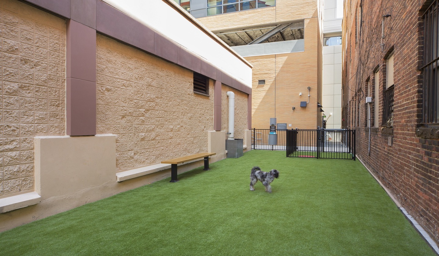 One Canal Apartment Homes Image 14