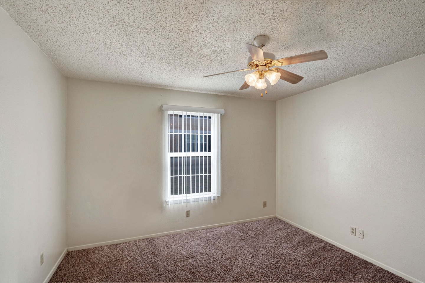 Golden Crest Image 8