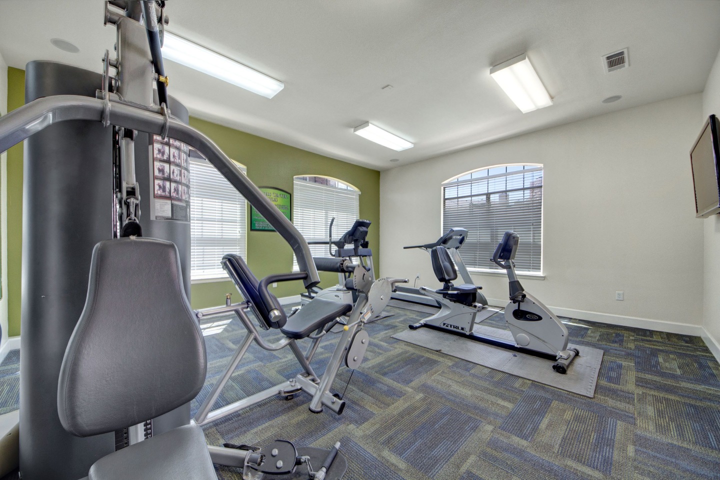 Mission Green Image 11
