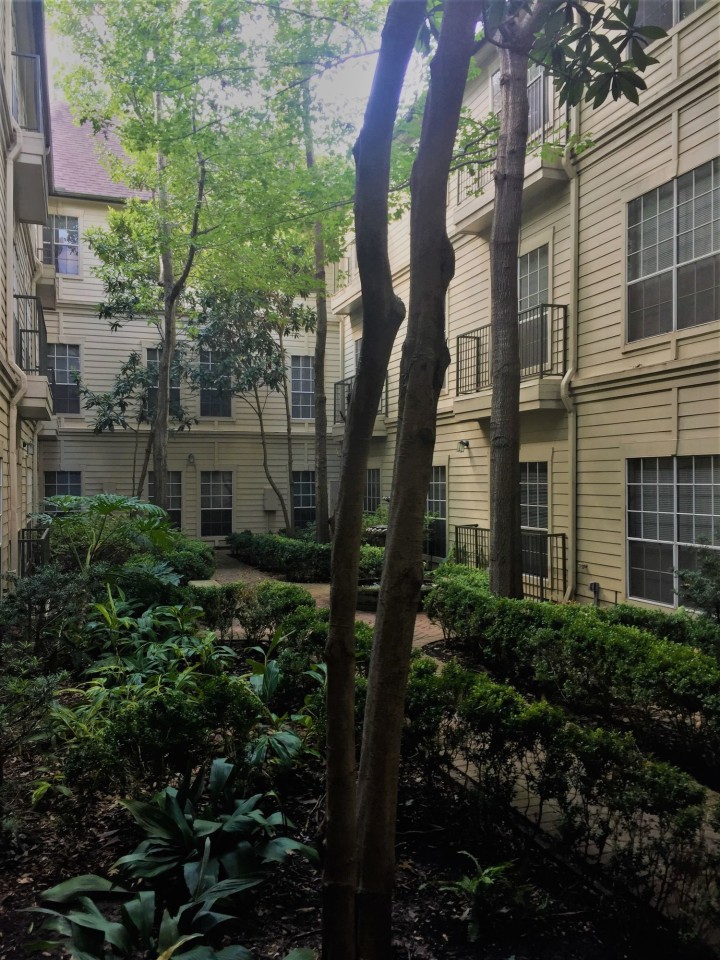 The Plaza at River Oaks Image 13