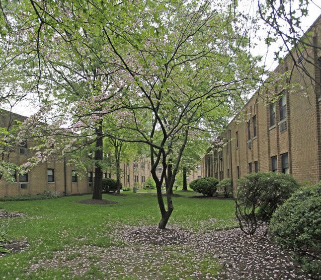 Watchung View Apartments Image 8