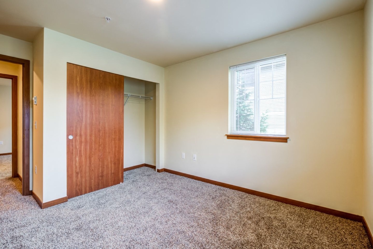 Willow Tree Grove Image 16