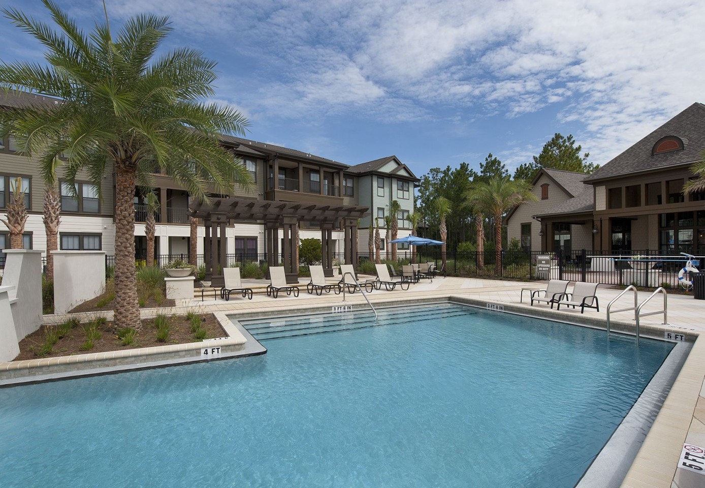 White Palm Image 14