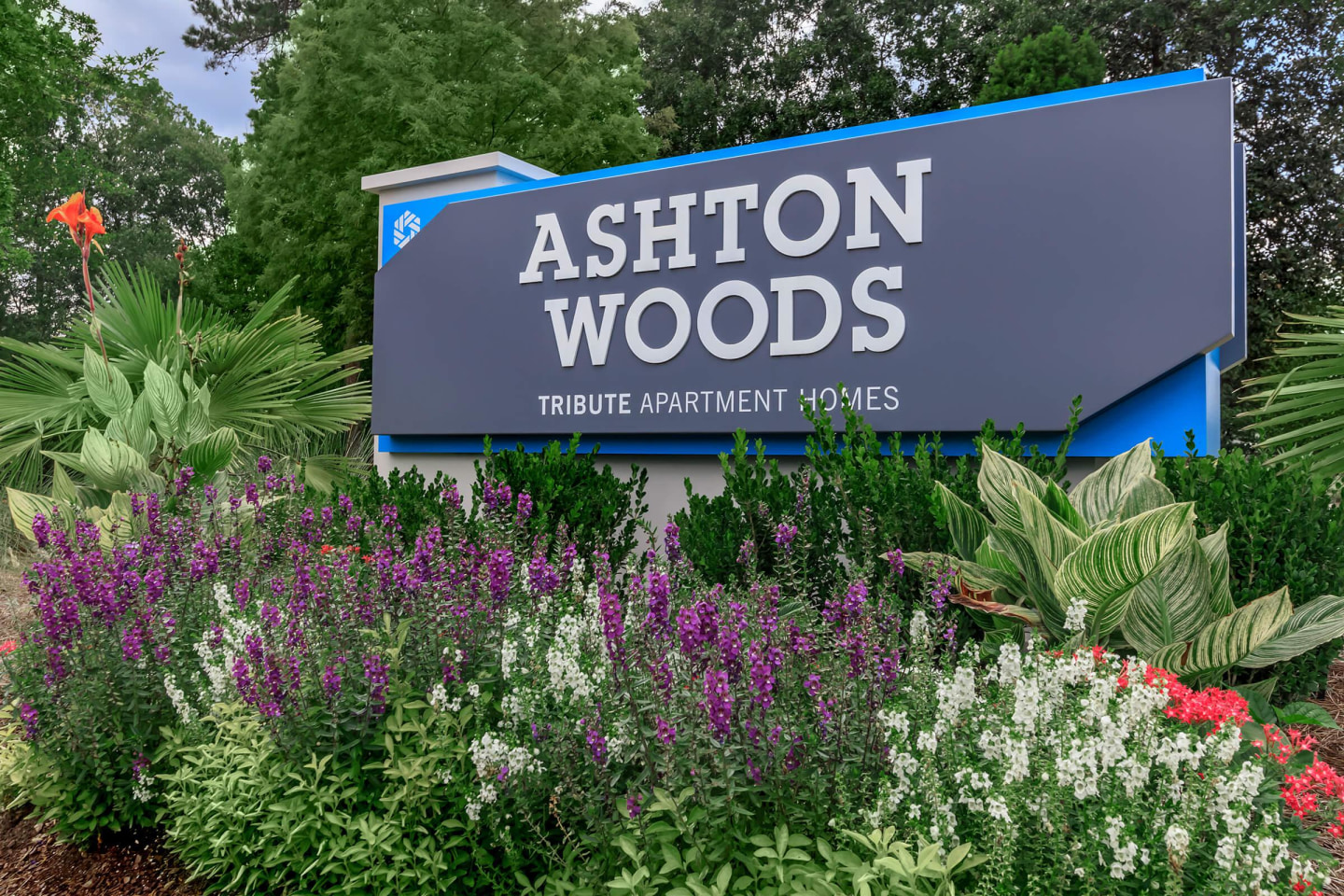 Ashton Woods Image 22