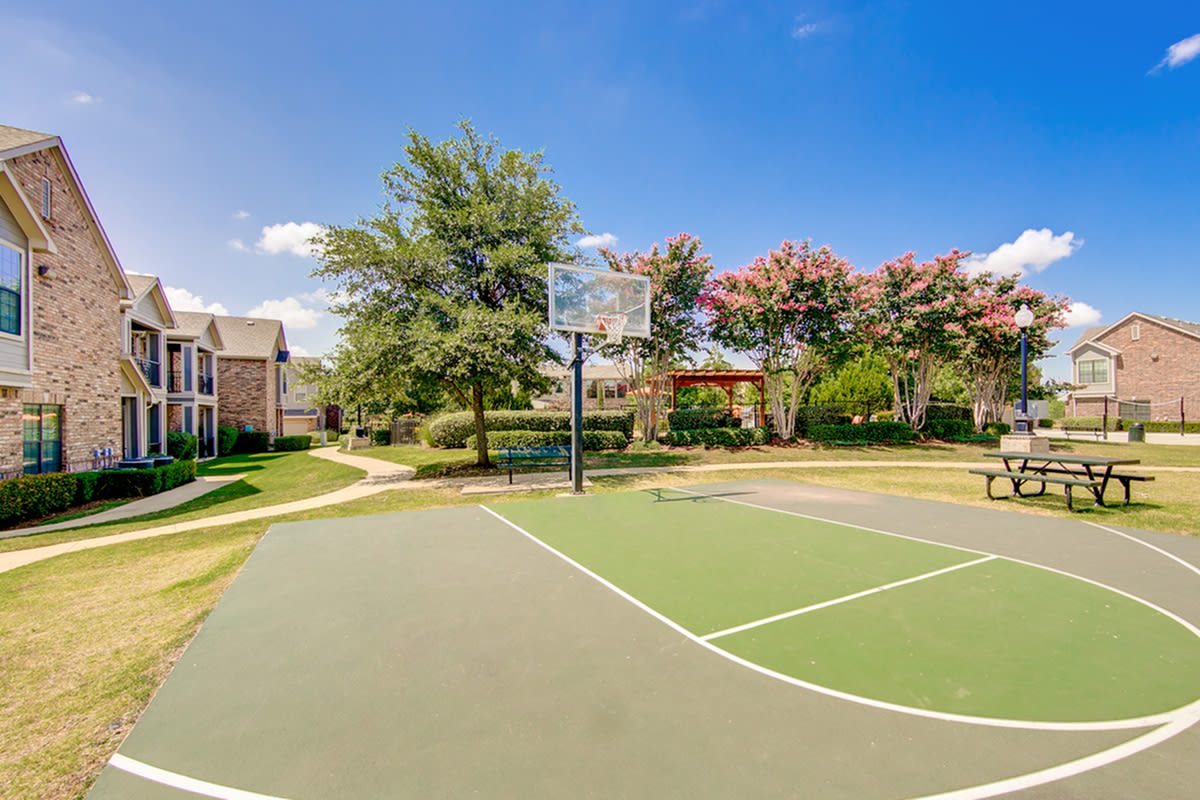 Enclave on Golden Triangle Apartments Image 10