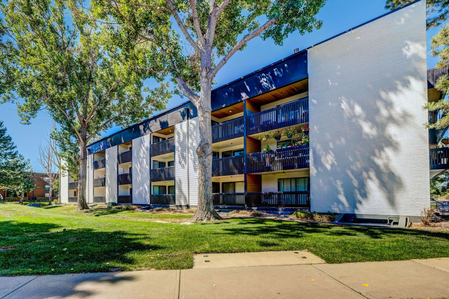 Sage at Panorama Image 23