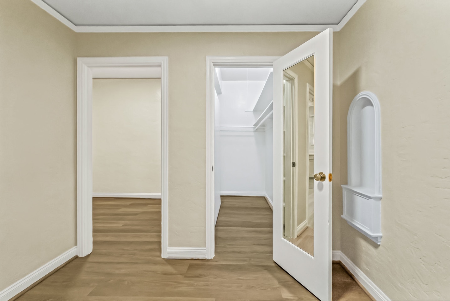 737 PINE Image 6