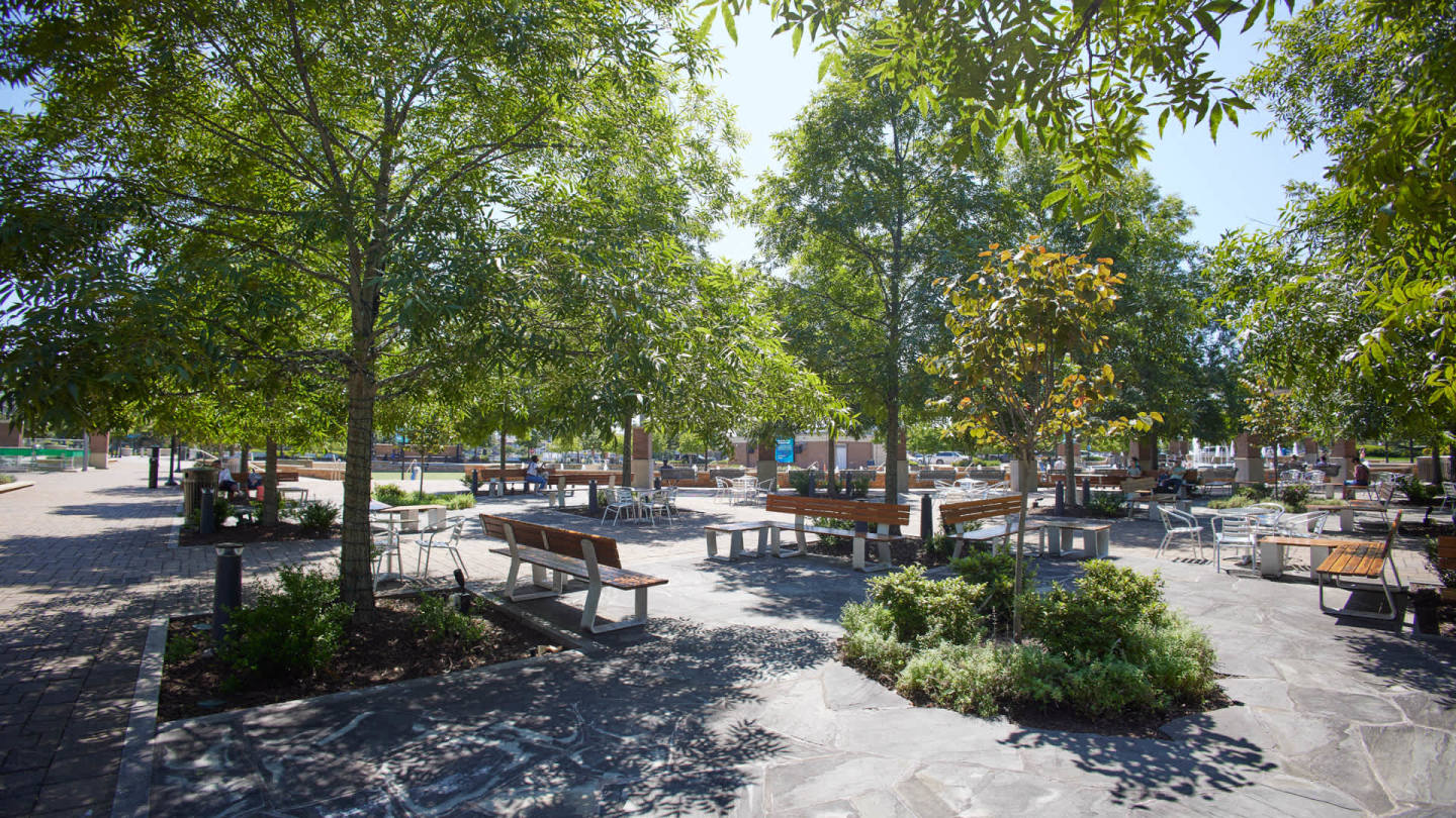 Juniper Sandy Springs Image 30