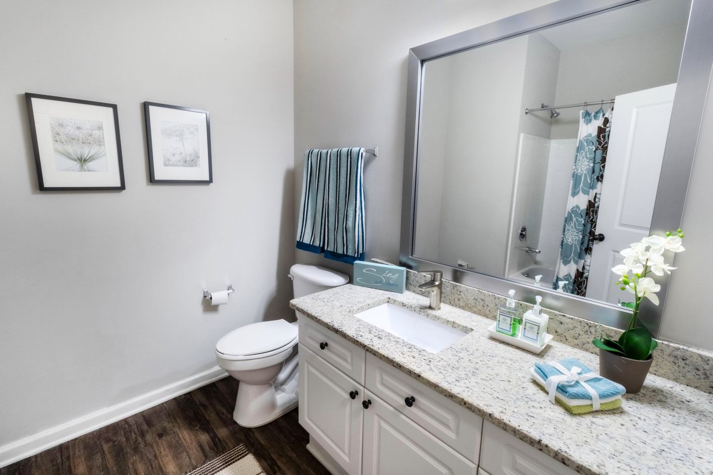Pointe at Suwanee Station Image 6