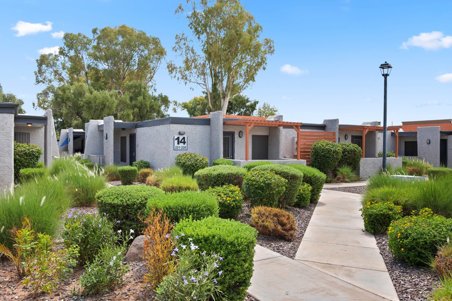 Delano Image 16